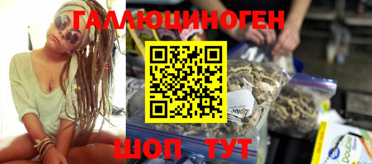 Галлюциногенные грибы Psilocybe Калининград