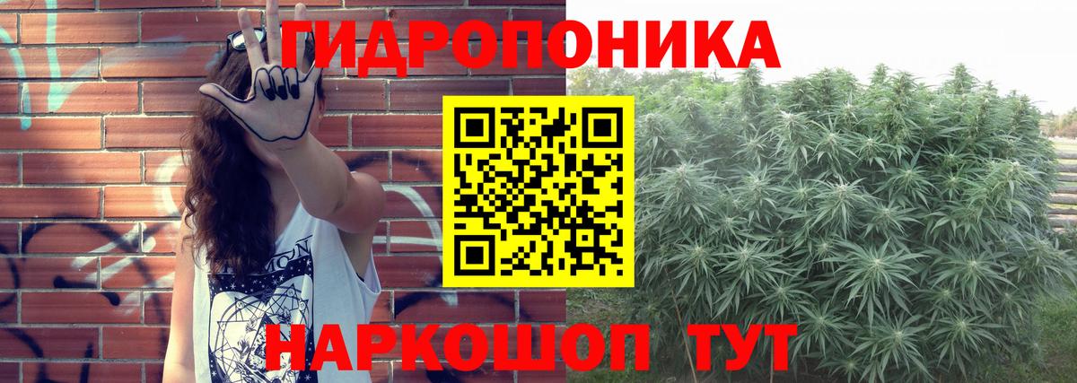 Каннабис гибрид  Конопля ГИДРОПОН  Бошки марихуана марихуана  Вход с VPN  Калининград 